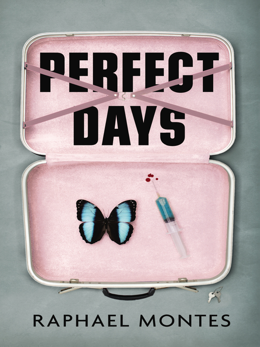 Title details for Perfect Days by Alison Entrekin - Wait list